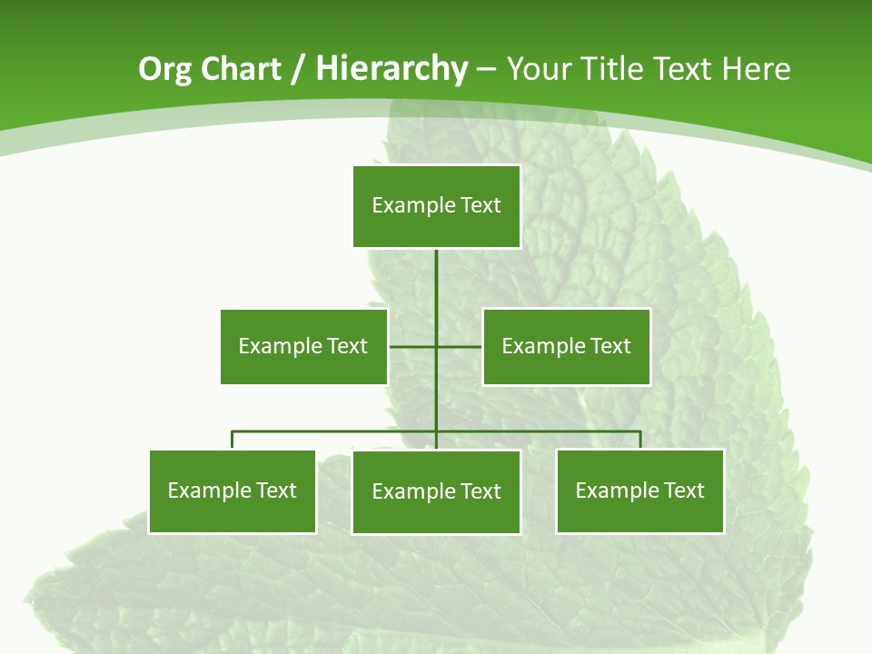 Green Mentha Food PowerPoint Template