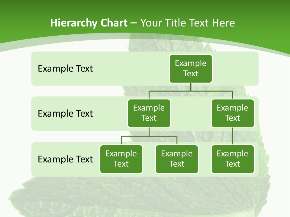 Green Mentha Food PowerPoint Template