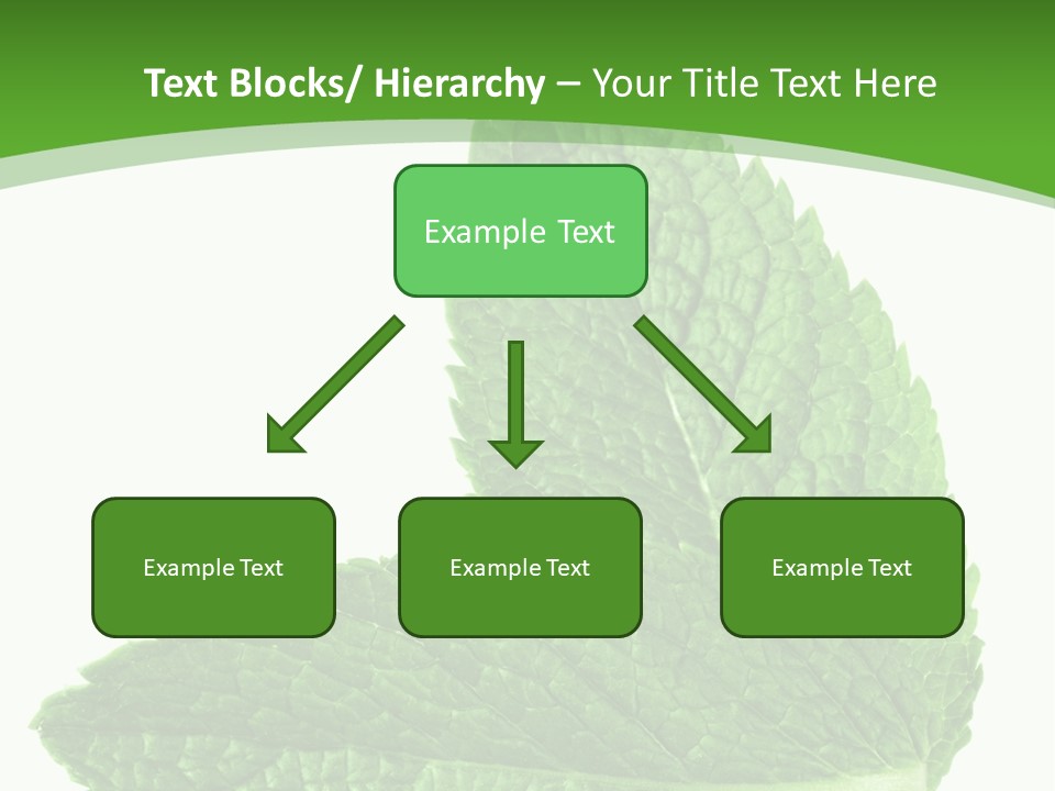 Green Mentha Food PowerPoint Template