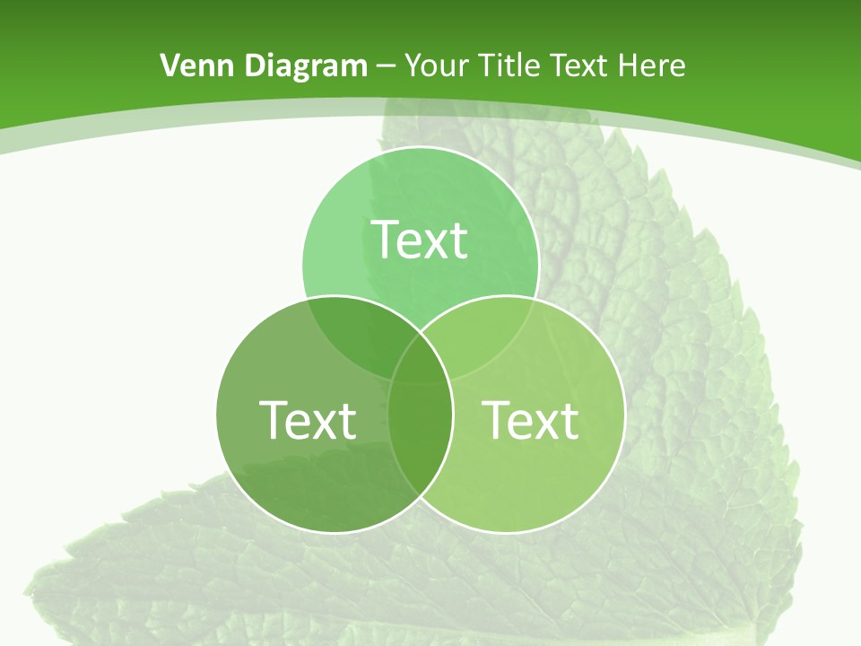 Green Mentha Food PowerPoint Template