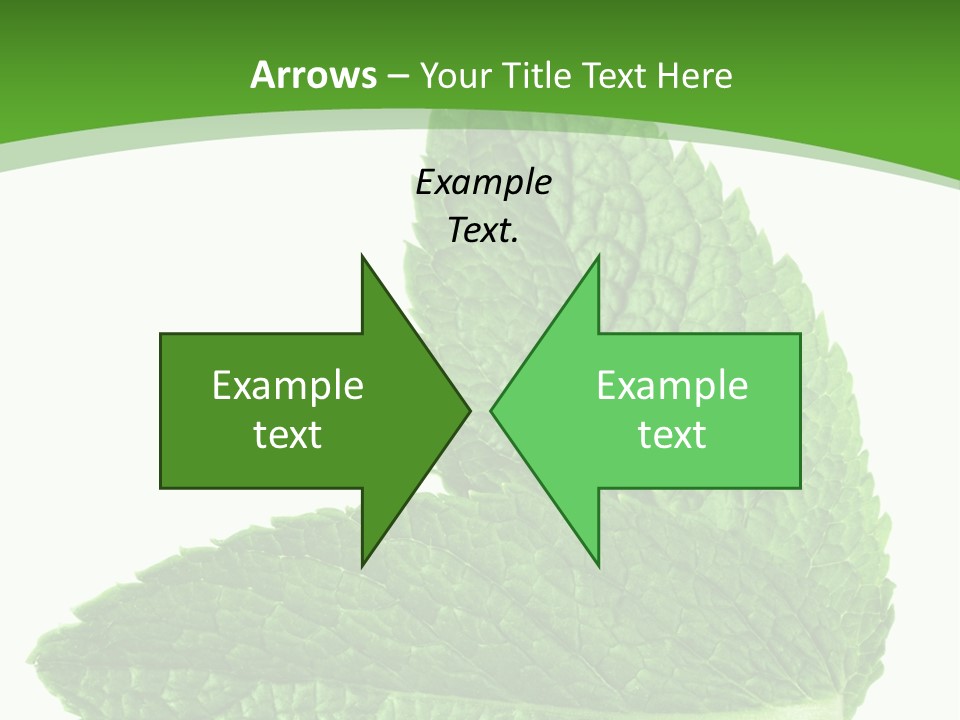 Green Mentha Food PowerPoint Template