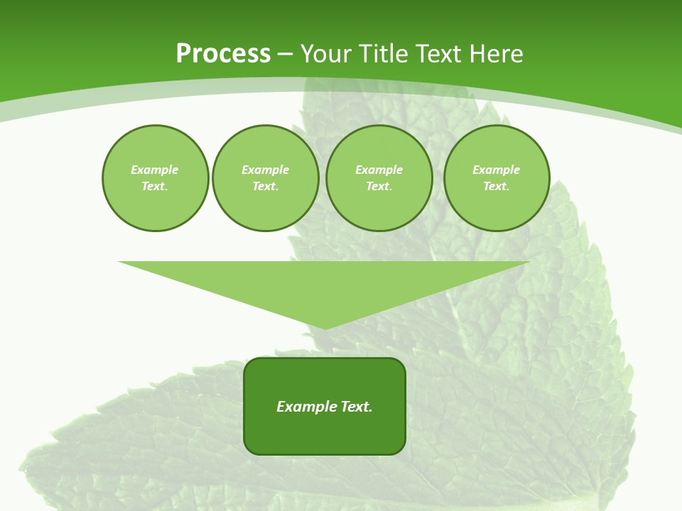 Green Mentha Food PowerPoint Template