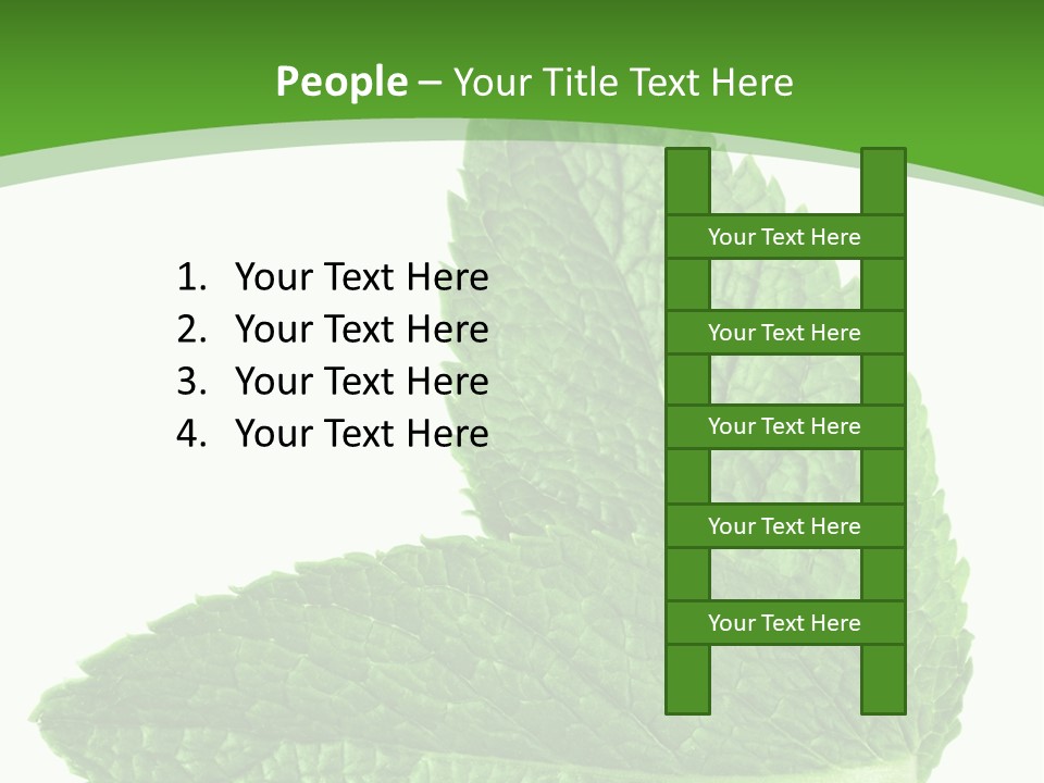 Green Mentha Food PowerPoint Template