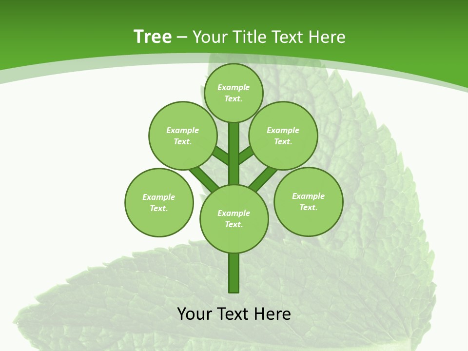 Green Mentha Food PowerPoint Template