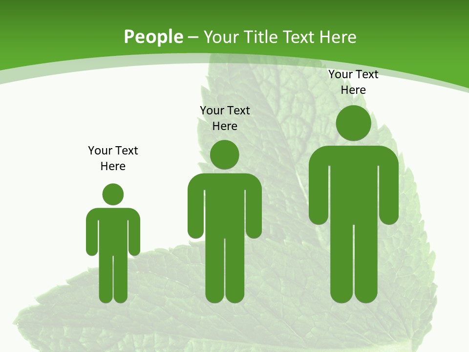 Green Mentha Food PowerPoint Template