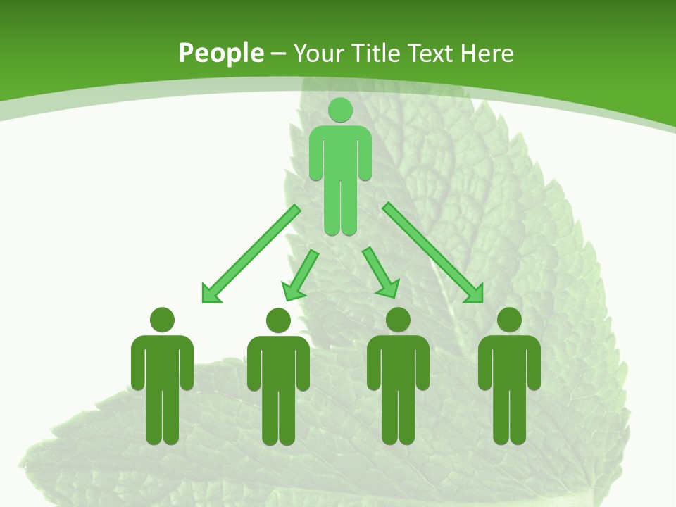 Green Mentha Food PowerPoint Template