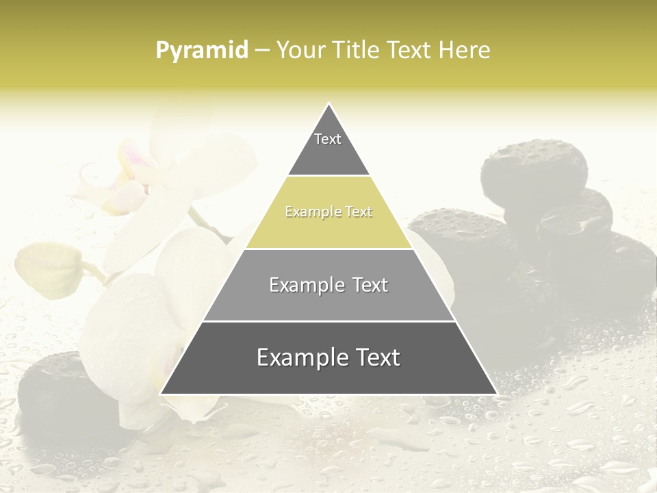 Heap Design Therapy PowerPoint Template