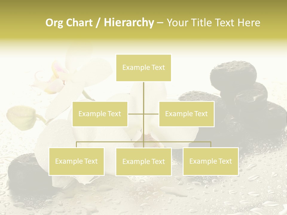 Heap Design Therapy PowerPoint Template