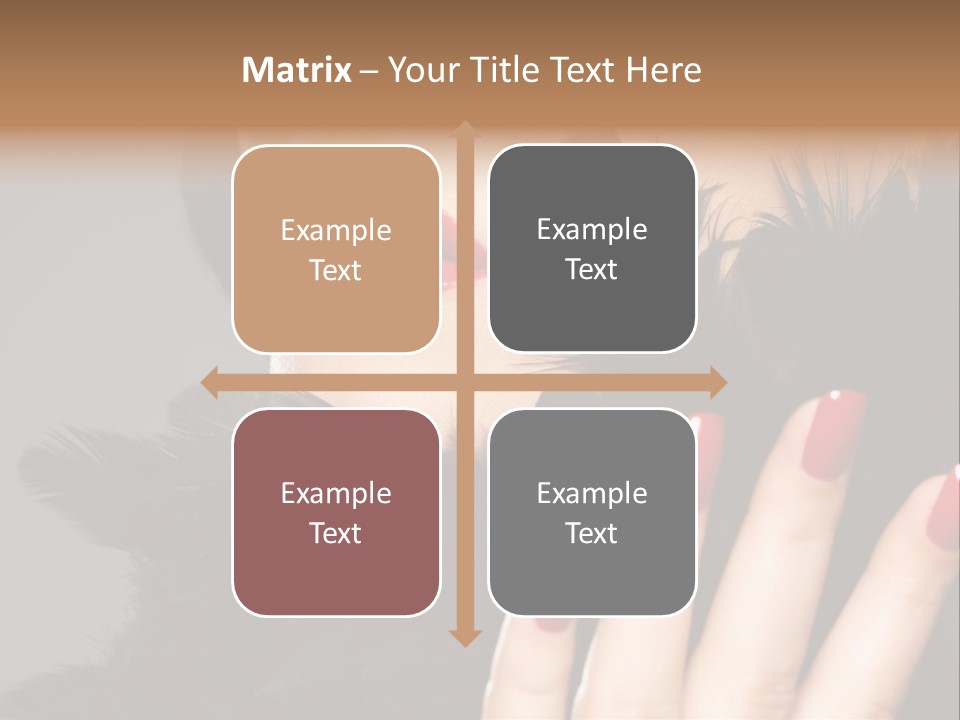 Macro Color Attractive PowerPoint Template