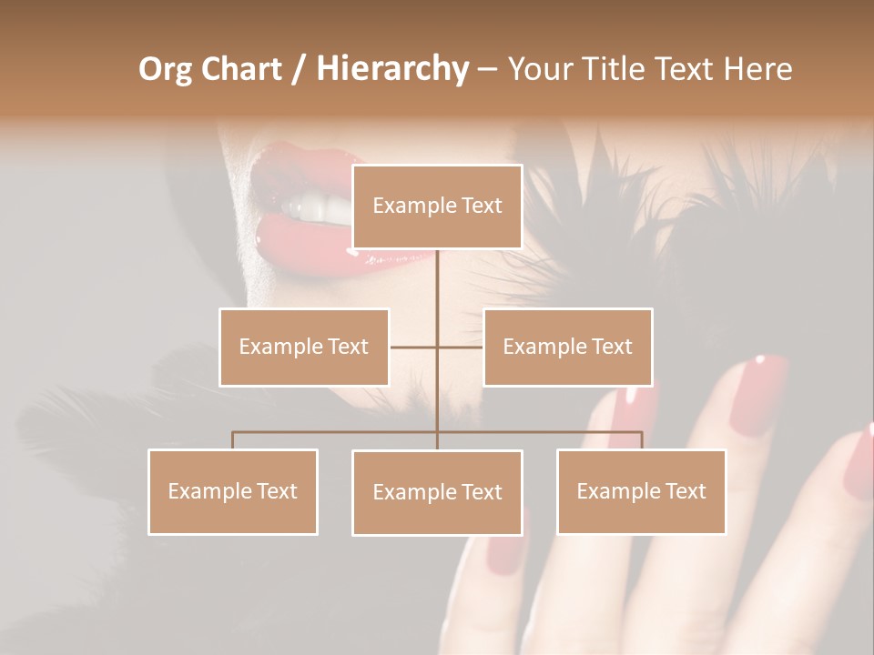 Macro Color Attractive PowerPoint Template