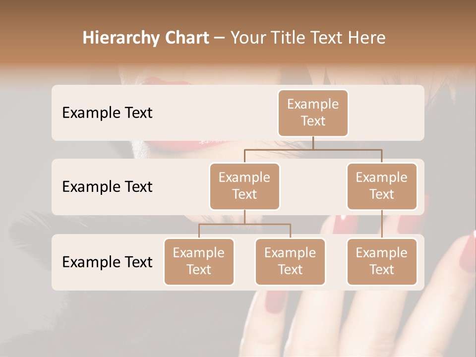 Macro Color Attractive PowerPoint Template