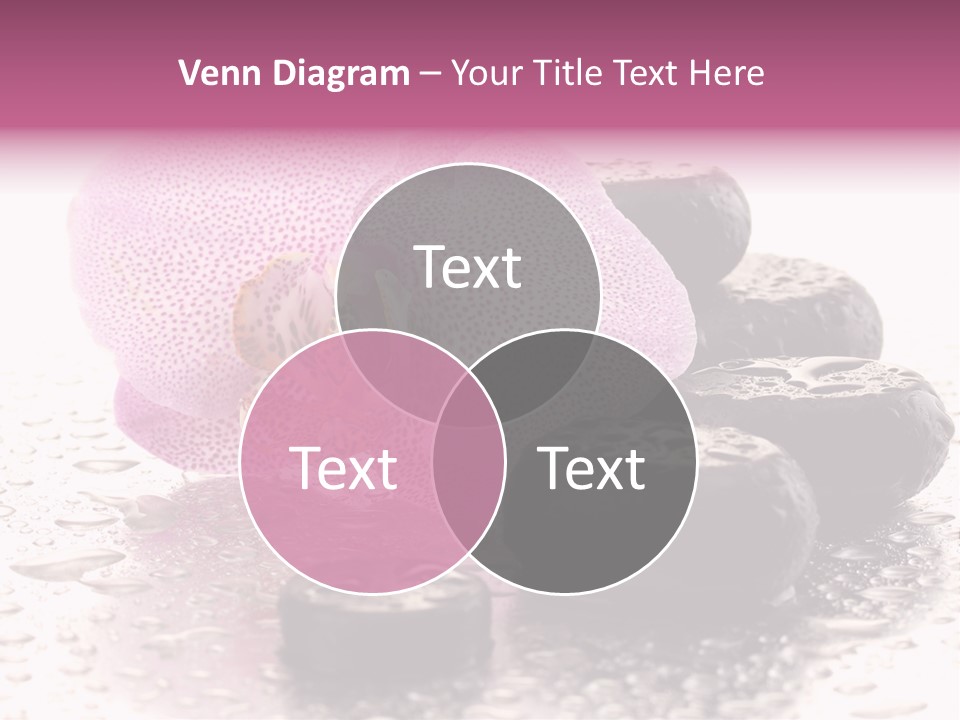 Therapy Grey East PowerPoint Template