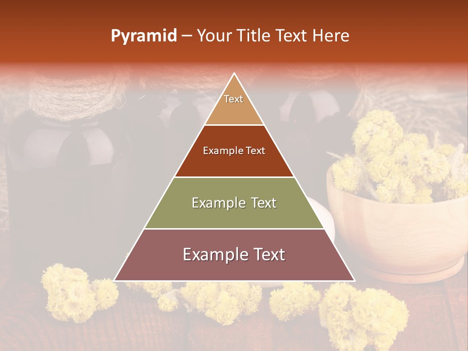 Natural Floral Relish PowerPoint Template