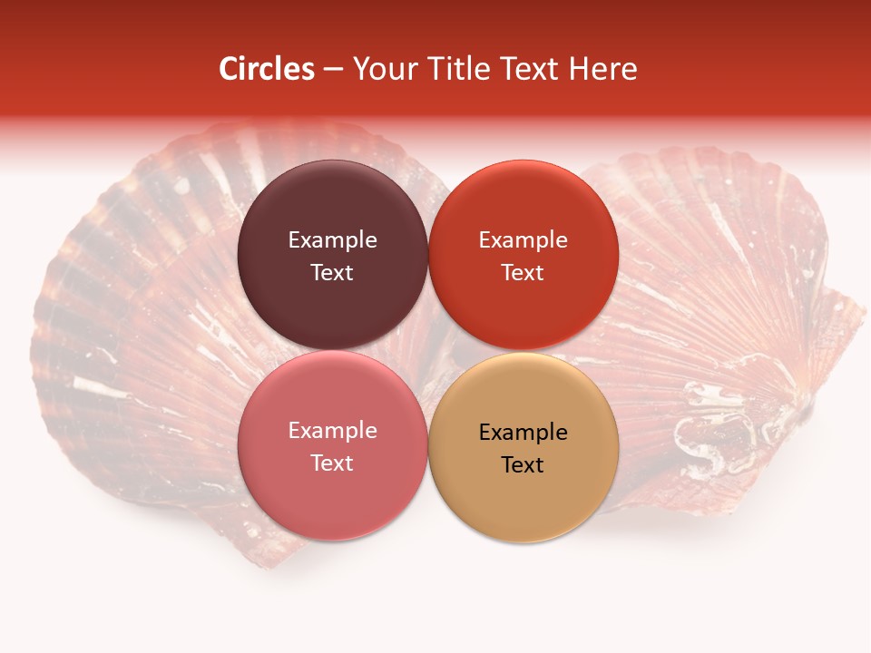 Red Background Closeup PowerPoint Template