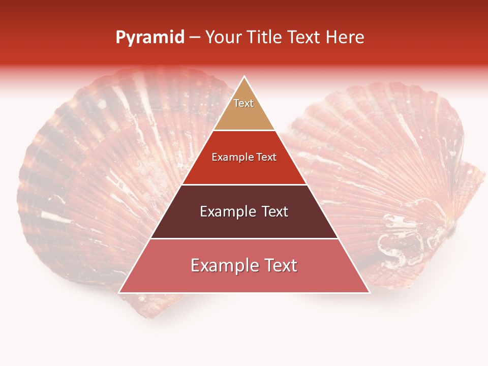 Red Background Closeup PowerPoint Template