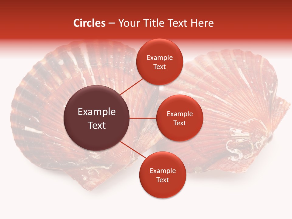 Red Background Closeup PowerPoint Template