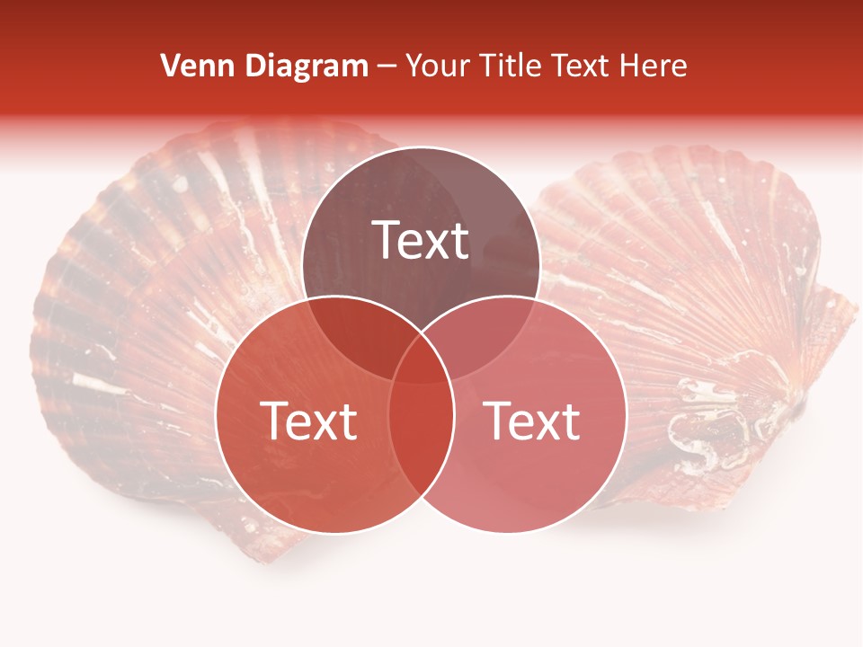 Red Background Closeup PowerPoint Template
