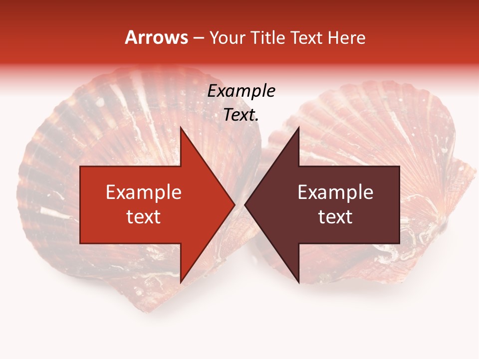 Red Background Closeup PowerPoint Template