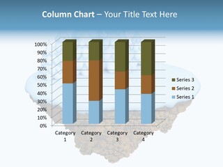 Little Nature Fir PowerPoint Template