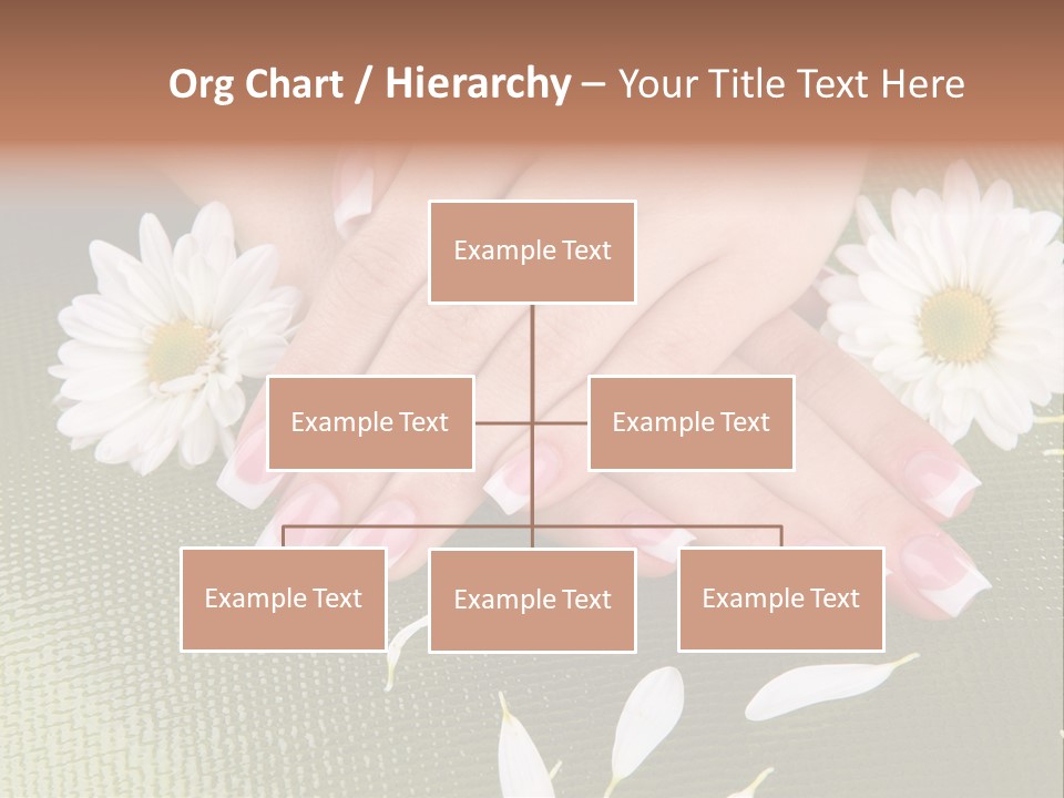 Skin Wellness Color PowerPoint Template