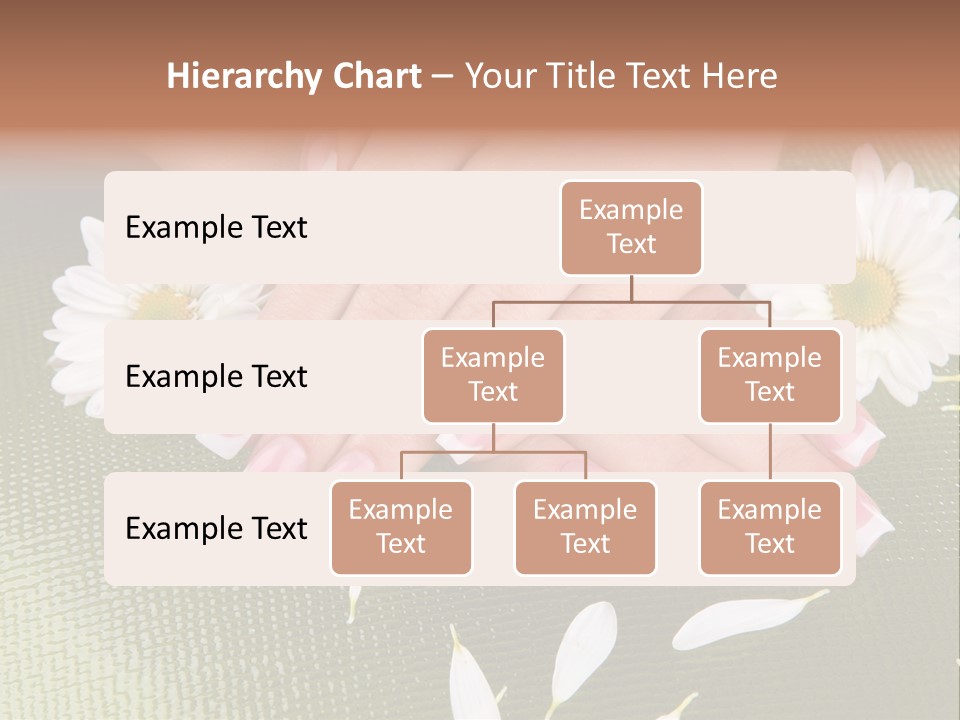 Skin Wellness Color PowerPoint Template