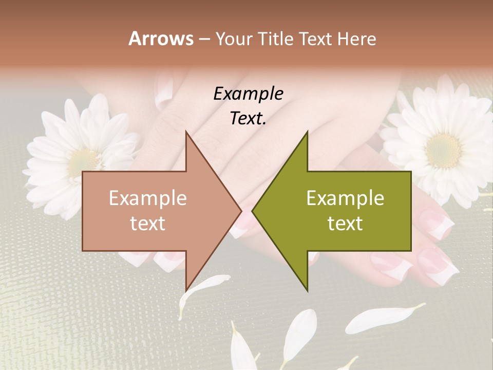 Skin Wellness Color PowerPoint Template