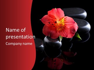 Medicine Shui Hot PowerPoint Template