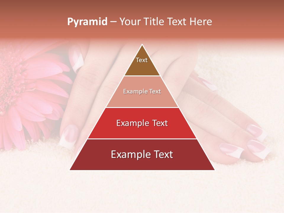 Polish Healthcare Softness PowerPoint Template