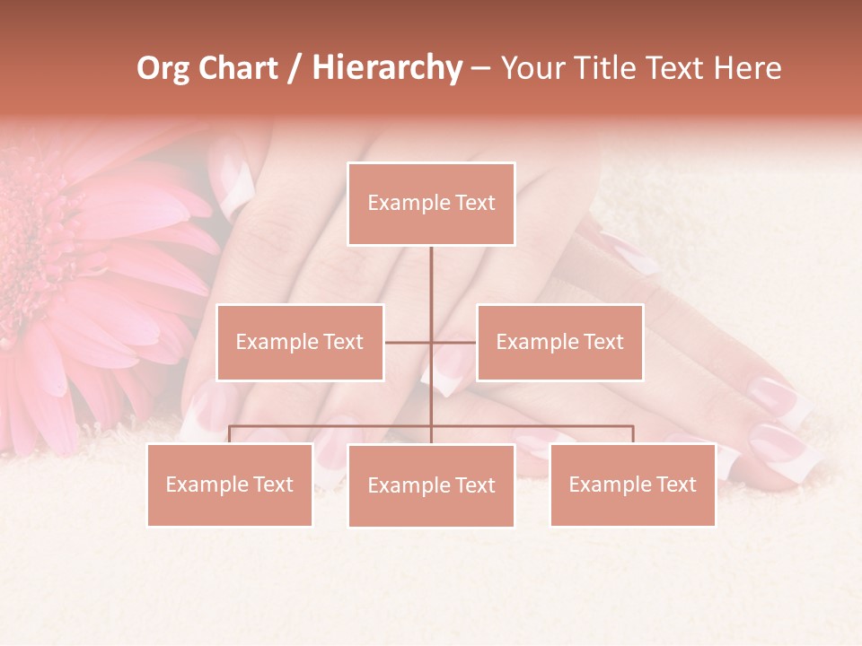 Polish Healthcare Softness PowerPoint Template
