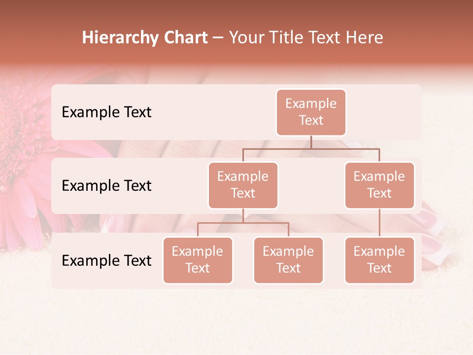 Polish Healthcare Softness PowerPoint Template