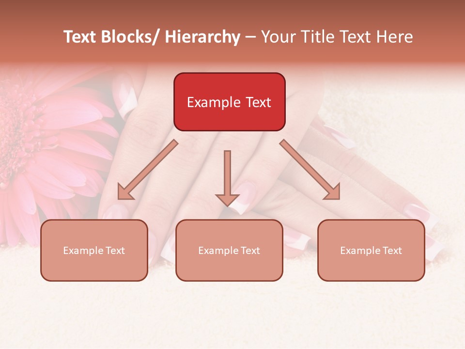 Polish Healthcare Softness PowerPoint Template