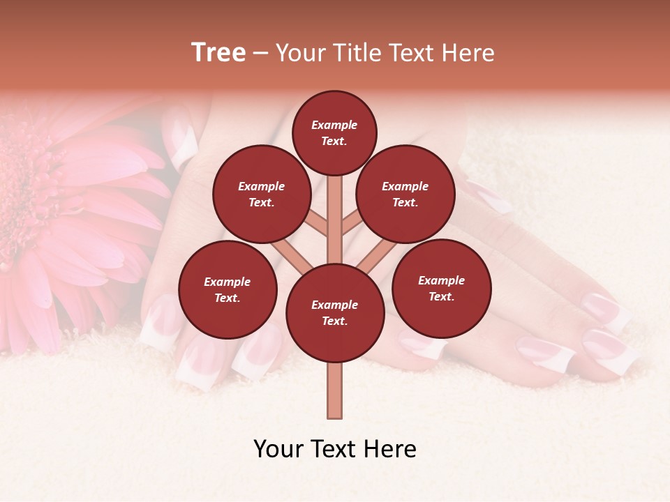 Polish Healthcare Softness PowerPoint Template