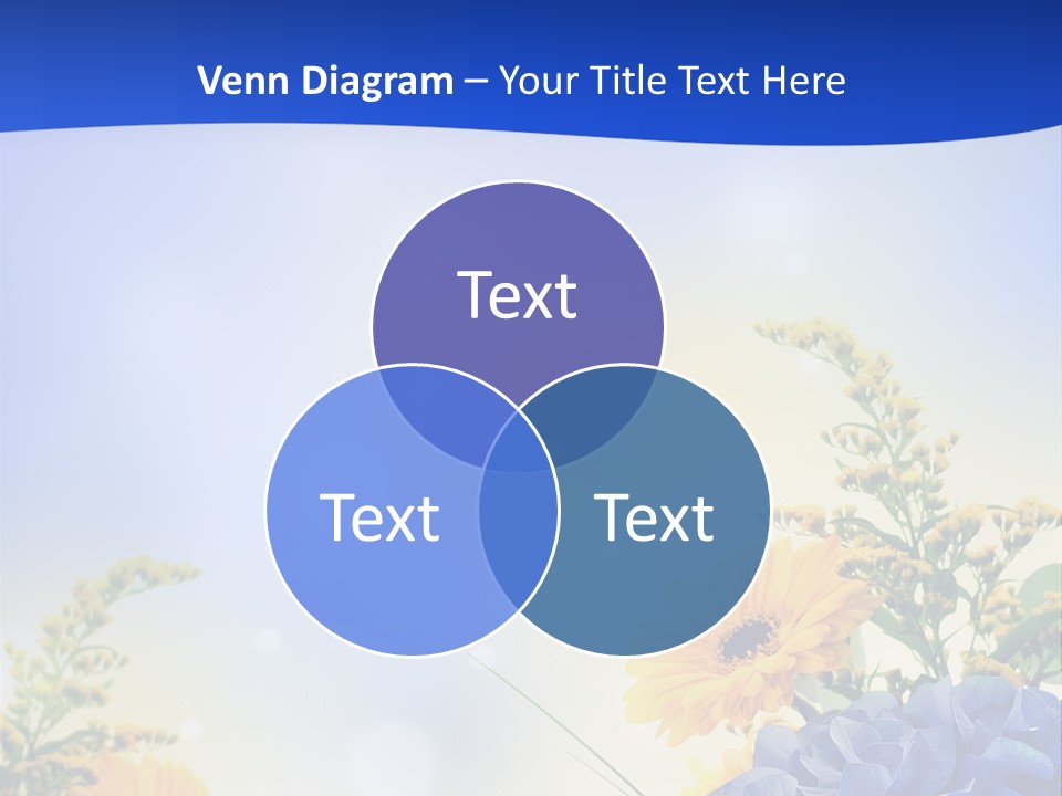 Head Beauty Bright PowerPoint Template