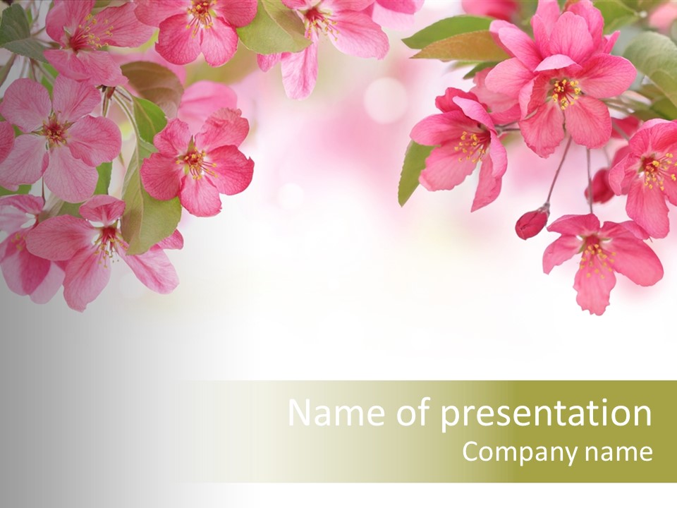 Bud Bloom Health PowerPoint Template