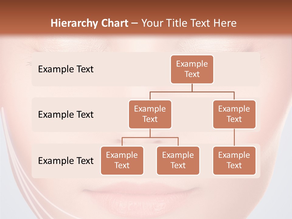 Calm Collagen Freshness PowerPoint Template