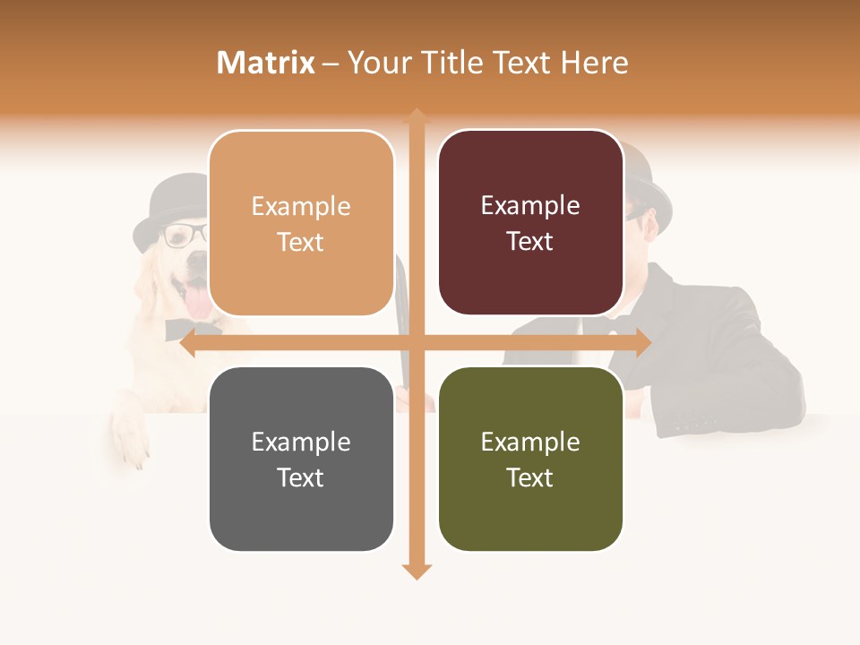 S Pet Entertainer PowerPoint Template