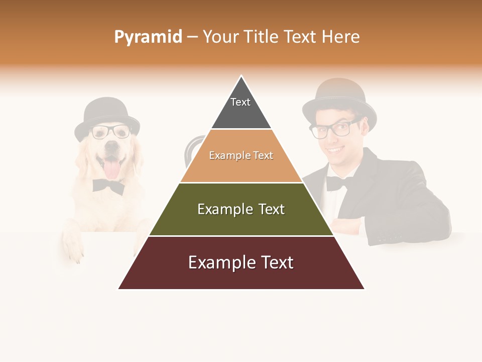 S Pet Entertainer PowerPoint Template