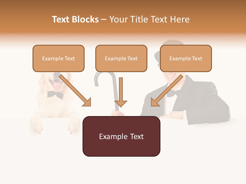 S Pet Entertainer PowerPoint Template