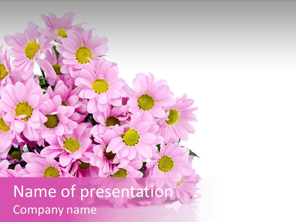 Colorful Greeting Pink PowerPoint Template