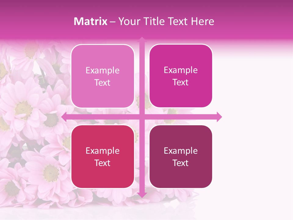 Colorful Greeting Pink PowerPoint Template