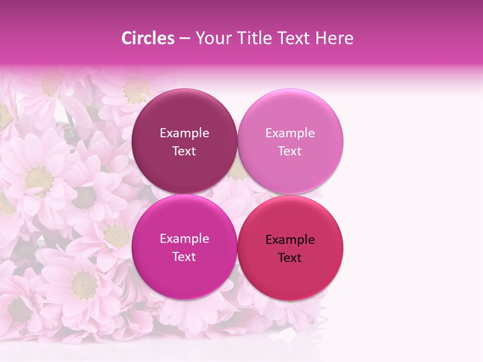 Colorful Greeting Pink PowerPoint Template