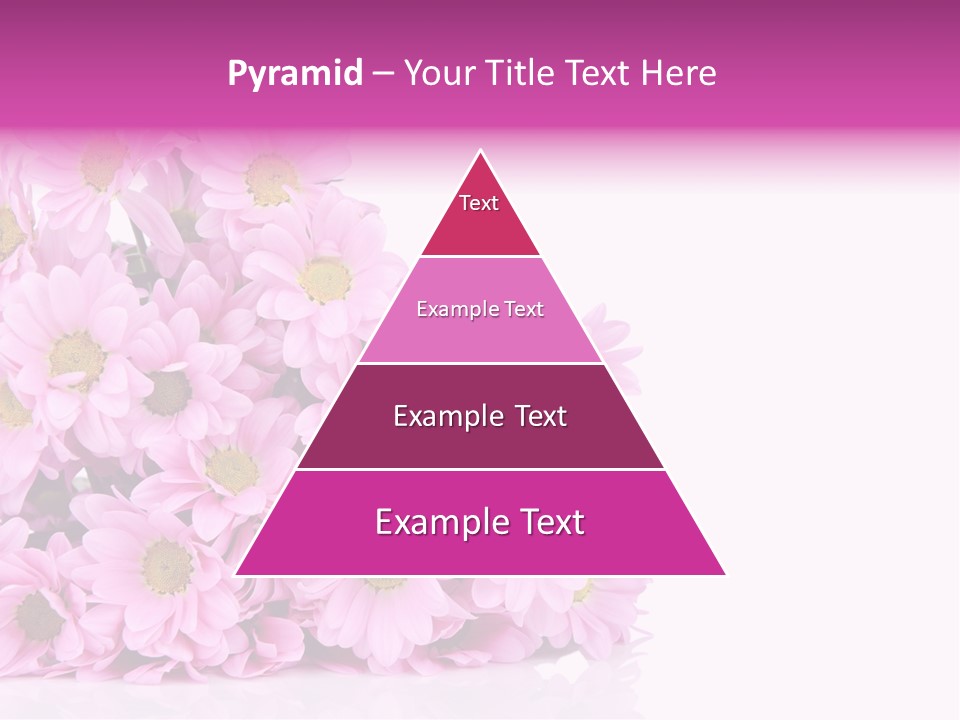 Colorful Greeting Pink PowerPoint Template
