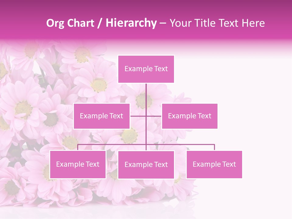 Colorful Greeting Pink PowerPoint Template