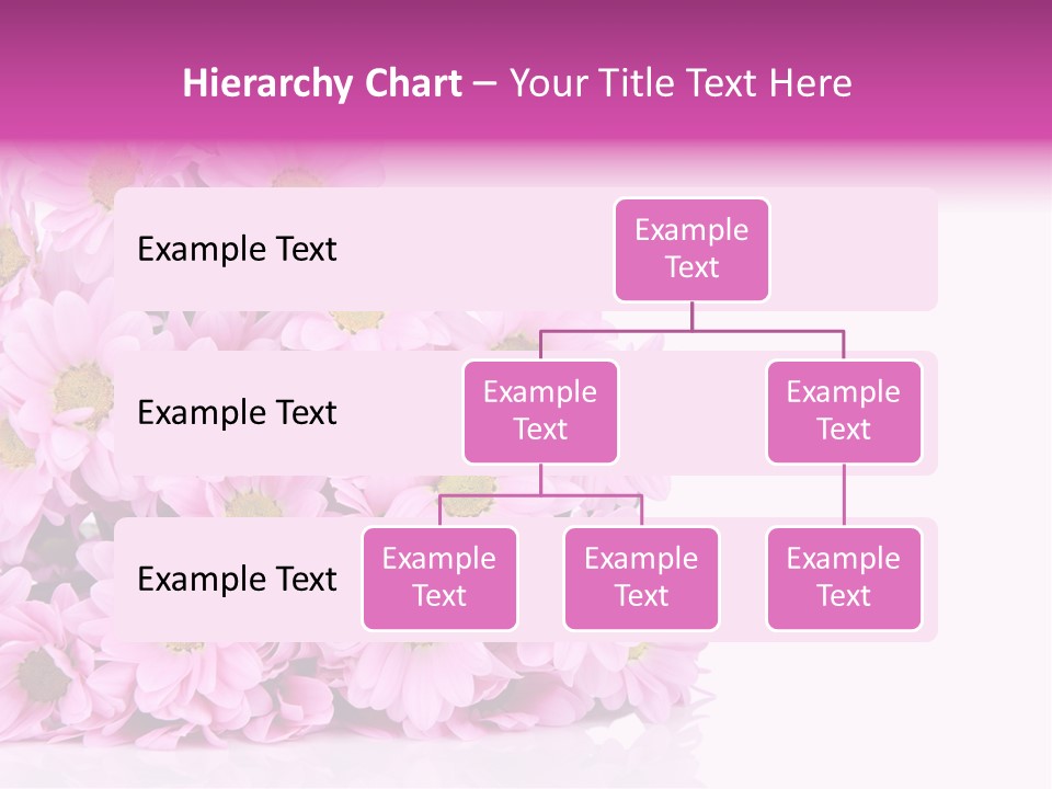 Colorful Greeting Pink PowerPoint Template