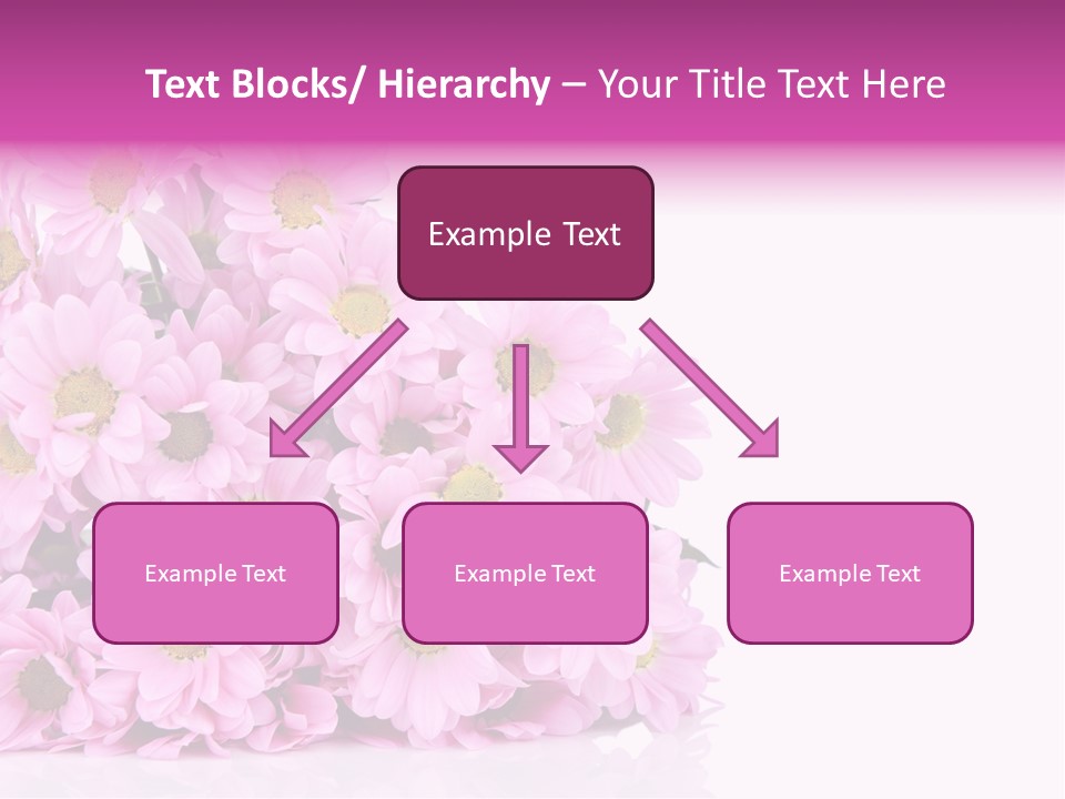 Colorful Greeting Pink PowerPoint Template