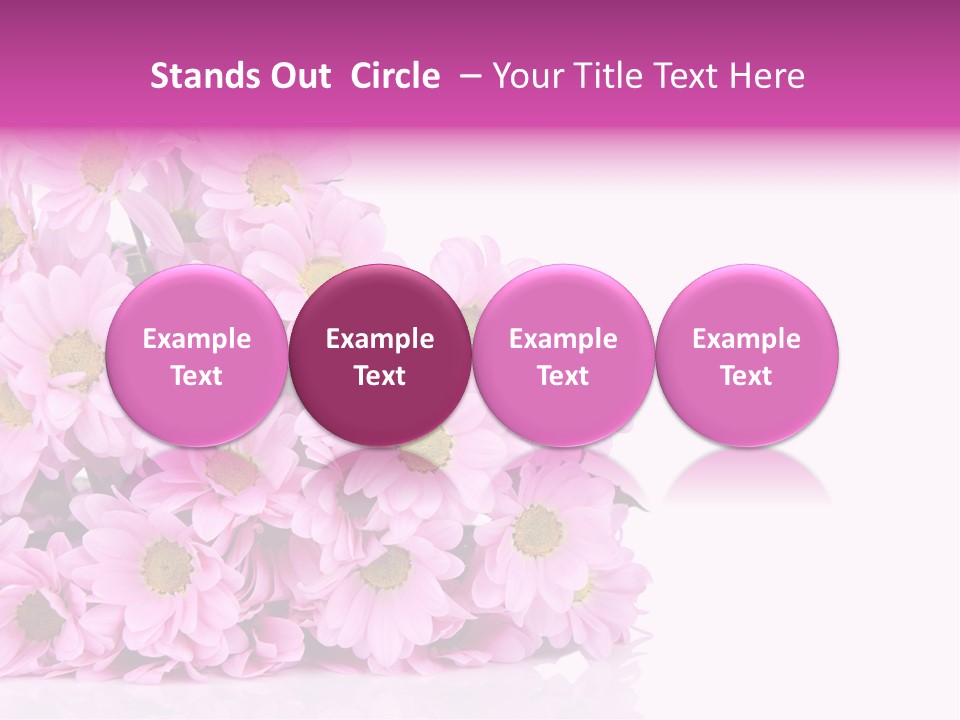 Colorful Greeting Pink PowerPoint Template