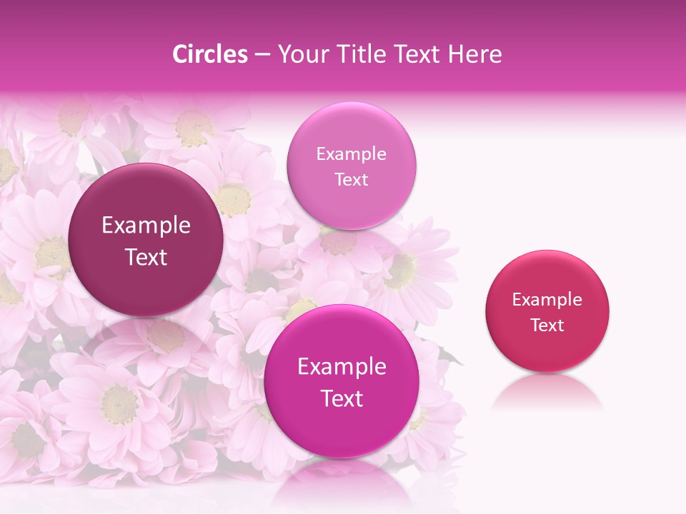 Colorful Greeting Pink PowerPoint Template