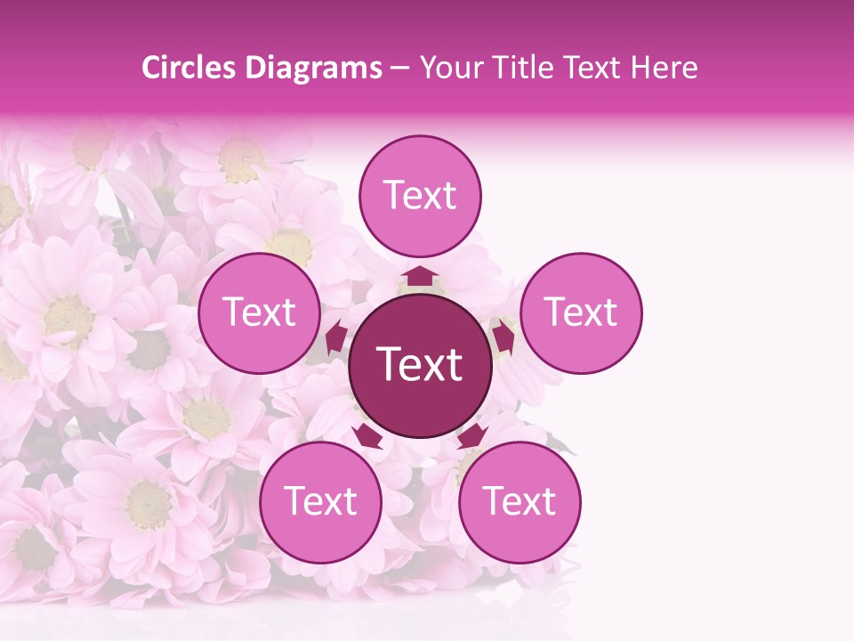 Colorful Greeting Pink PowerPoint Template