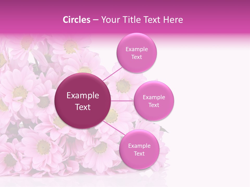 Colorful Greeting Pink PowerPoint Template