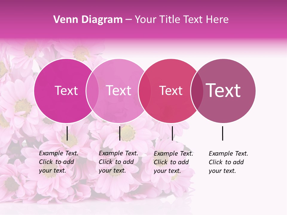 Colorful Greeting Pink PowerPoint Template